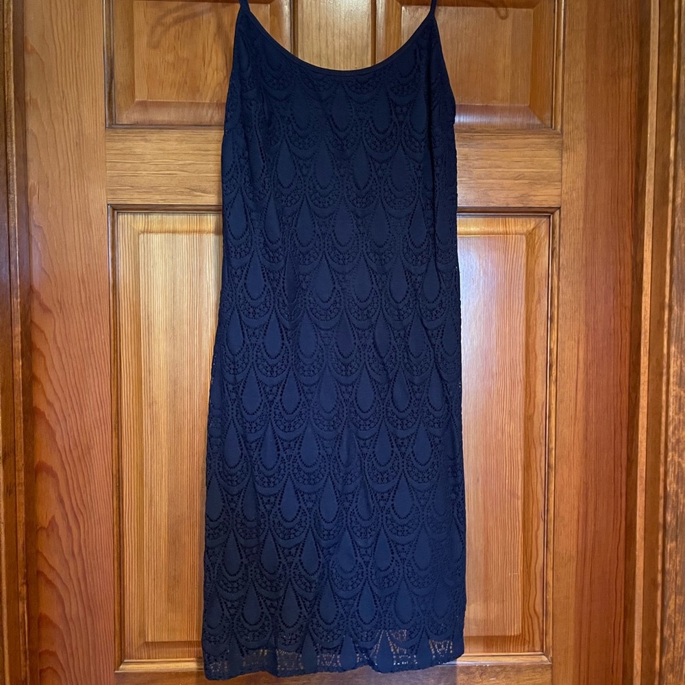 Lilly Pulitzer Dress - Picture 1 of 3